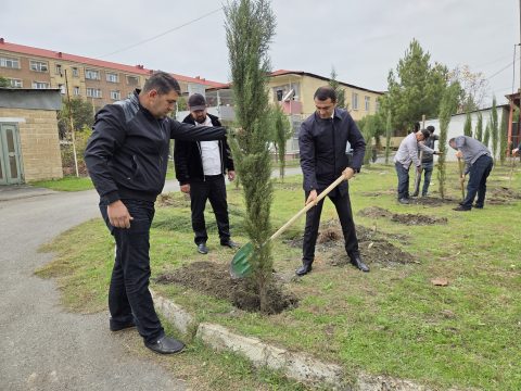 Zəfər günü ilə bağlı Balakən rayonunda ağac əkininə start verildi Ağac əkini