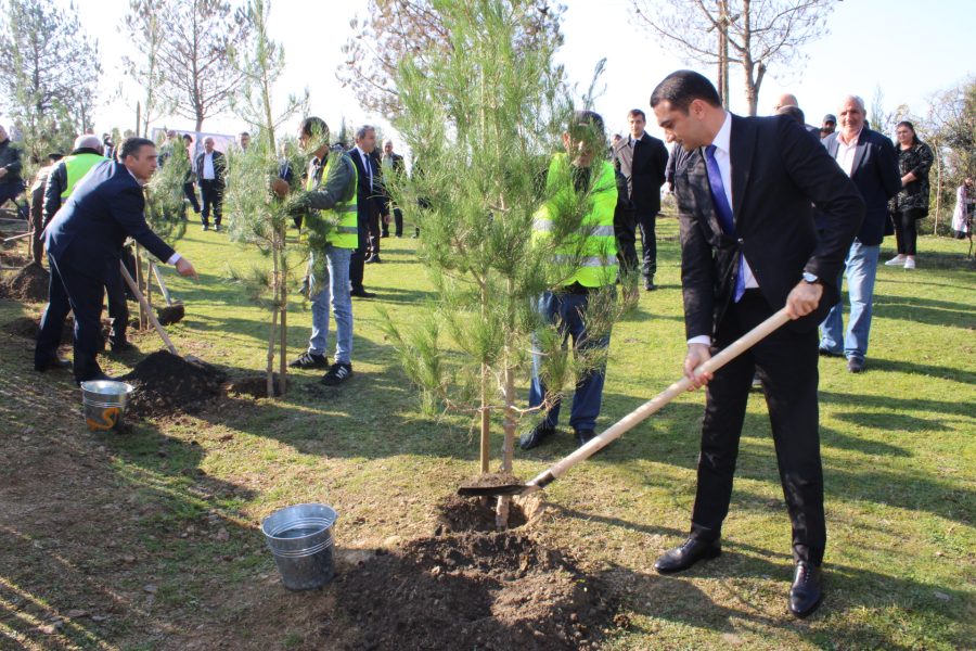 Balakəndə Zəfər Gününə Yaşıl Hədiyyə: Poştbinədə Ağacəkmə Aksiyası Ağac əkmə aksiyası