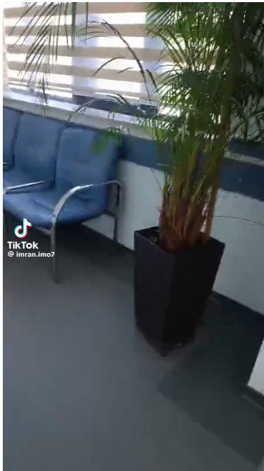 “Media azadlığı – sərbəstlik yox, məsuliyyət”