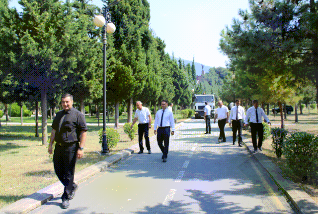 Balakən Mədəniyyət və İstirahət Parkında iməcilik: Yaşıllığın qorunması üçün birgə addım