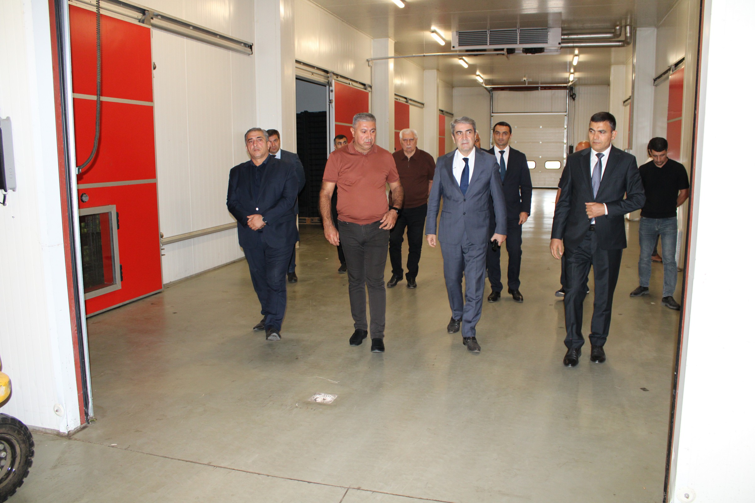 “Bal Meyvə” bölgənin parlayan ulduzuna çevrilir